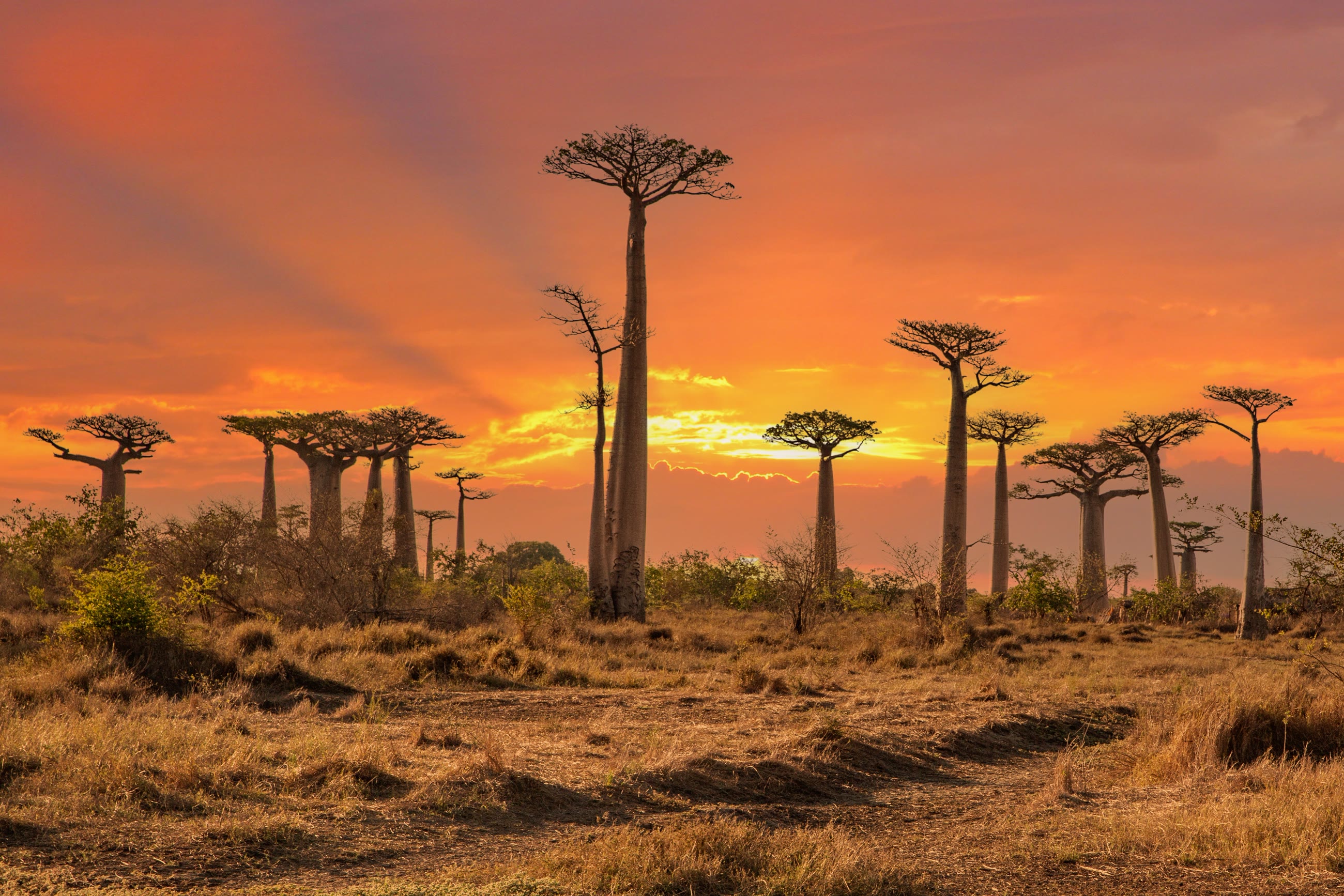 Madagascar